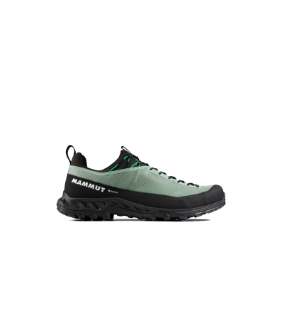 Mammut Alnasca IV Low GTX Men