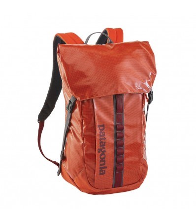 Patagonia Black Hole 32L Pack