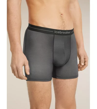 Icebreaker Merino 150 Anatomica Boxers Transitions