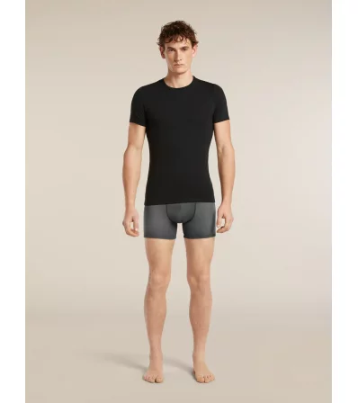 Icebreaker Merino 150 Anatomica Boxers Transitions