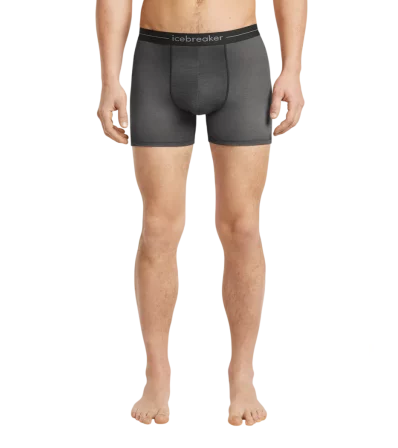 Icebreaker Merino 150 Anatomica Boxers Transitions