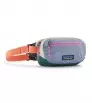 Patagonia Terravia Mini Hip Pack 1L